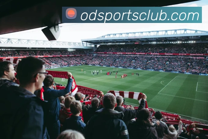 OD体育平台生态图