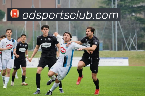 OD体育APP 封面图